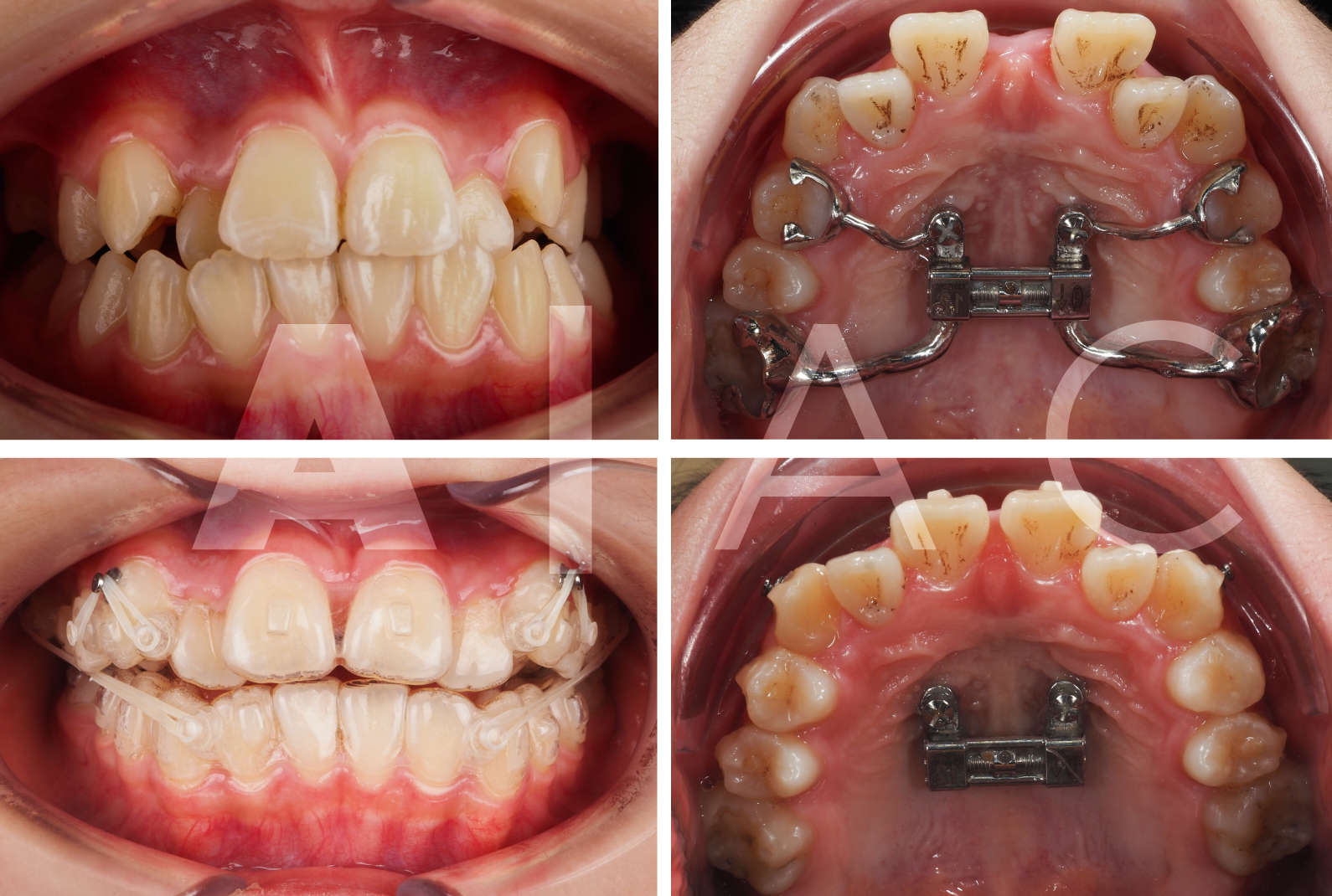 SEDO 2024